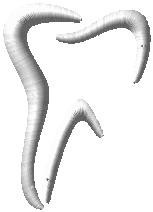 ZUB-pearlDental-3,8x5,4cm